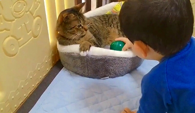 飼い主さんの洗顔を邪魔する猫