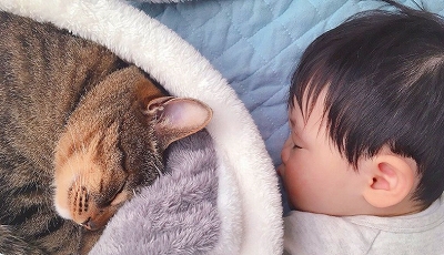 飼い主さんの洗顔を邪魔する猫