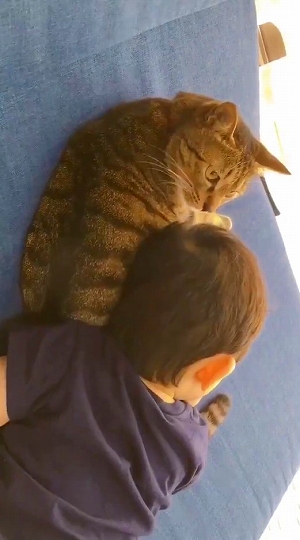 飼い主さんの洗顔を邪魔する猫