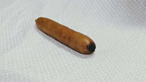 家庭的 テスラコイル 料理 ソーセージ ウインナー 放電 きょうの料理