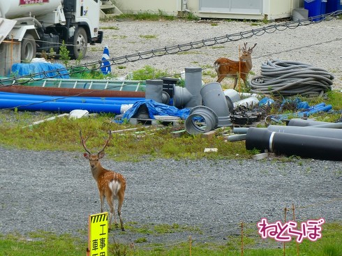三陸鉄道リアス線 JR山田線 JR大船渡線 あまちゃん