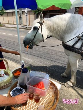 三陸鉄道リアス線 JR山田線 JR大船渡線 あまちゃん