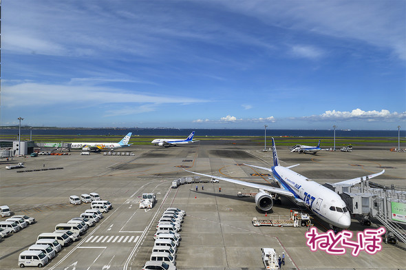 フライトシミュレーター 羽田エクセルホテル東急