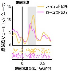 働いた後のビールはうまい 脳内メカニズム 発見 努力 報酬 価値 玉川大学