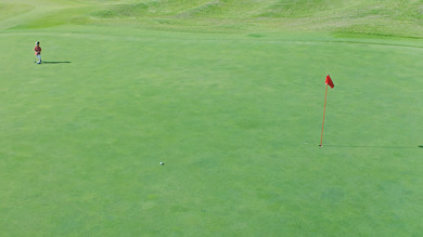 ProPILOT ゴルフボール