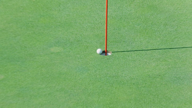 ProPILOT ゴルフボール