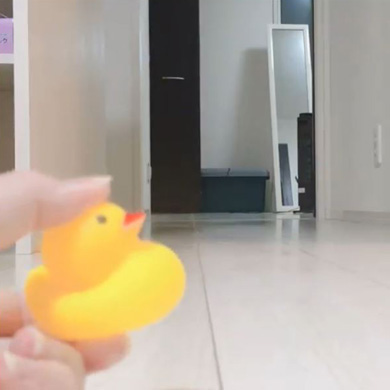 茶々と蘭丸さん