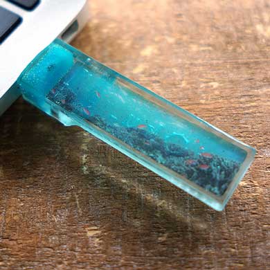 部屋とmidori 半透明 写真 埋め込まれた USB 美しい ヴィレッジヴァンガード