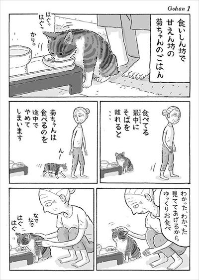 菊ちゃんの漫画