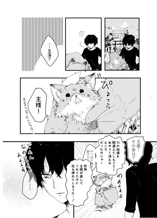 mitokuma 玉藻御前 九尾の狐