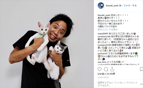 サンシャイン池崎 ふうちゃんらいちゃんねる 猫の森 保護猫 風神 雷神