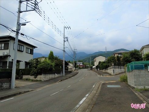 いわゆる一般的な「住宅街の道路」といった様相