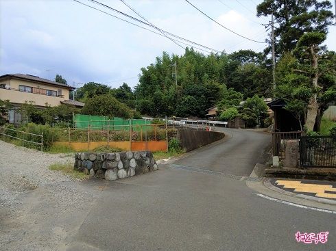 右側は舗装された見通しのいい道路です