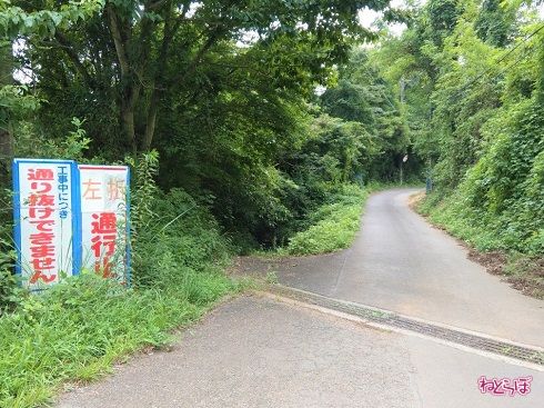 反対側の様子。左が県道なのですが、通行止めの看板がなくても問題がなさそうな気が……