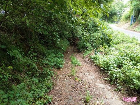 路面状況はすこぶるわるいです