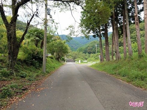 車道ではありますが、相変わらず県道らしさはありません