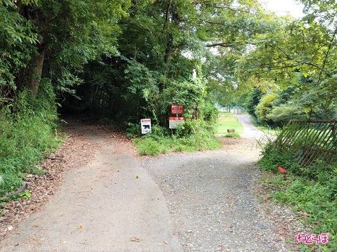 明らかにゴルフ場の道路のほうが整備されています