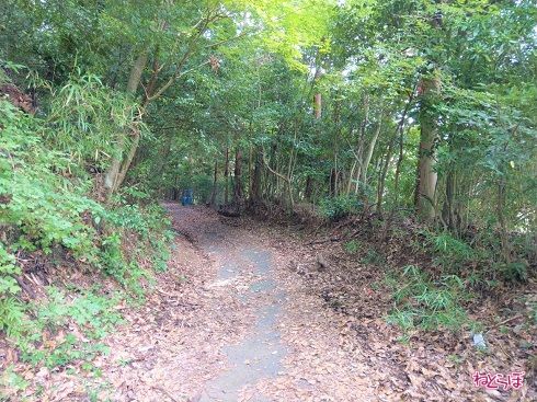 どんどん進んで行きます