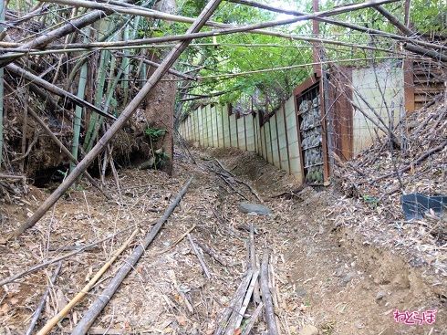 わたしの知ってる県道じゃない