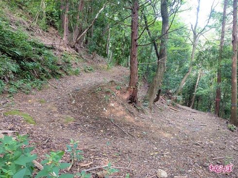 そりゃハイキング道路扱いもされますわ……！