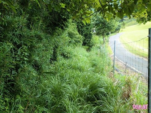 なんとなく、「課金と無課金」という単語がよぎりました