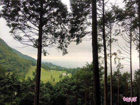 この日は曇りでしたが、晴れていれば絶景かもしれません