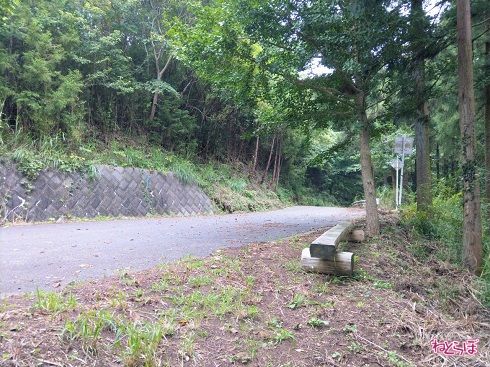 急に舗装された道に出ます