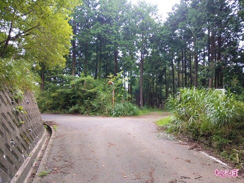 道なり左は林道の一般車交通不可区間。右が県道701号です