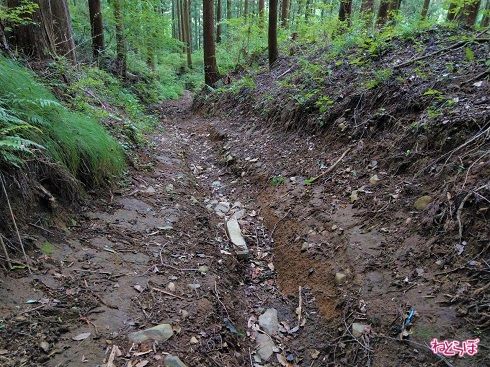 「道界」の標柱が……。本来は県道と他の敷地の間にあるべき存在のものです