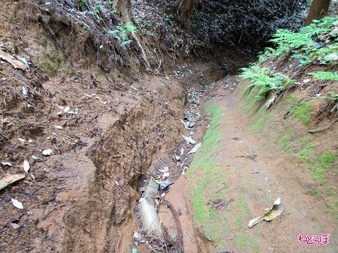 「下る」というより、もはや「滑る」が正しいくらいの険しさ。急斜面にもほどがあります！