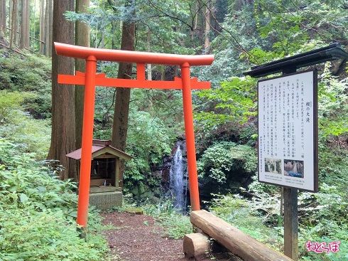 ちいさなお社と鳥居がありました