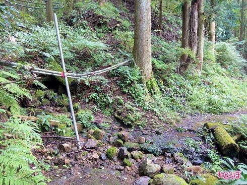 道路の上を川が流れています。