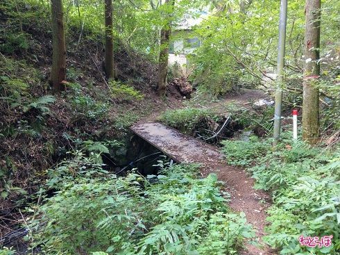 当然ながら、車は通れない幅