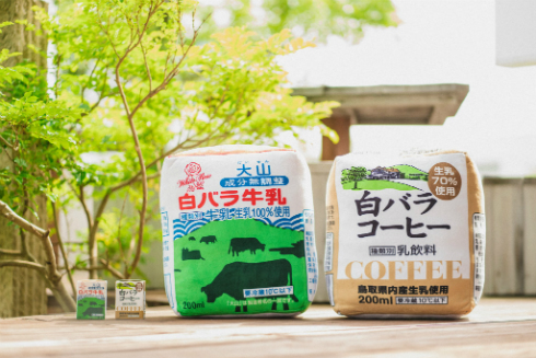 白バラ牛乳ビッグクッション