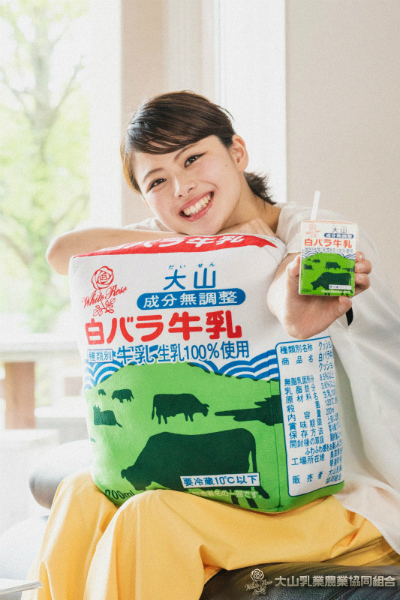 白バラ牛乳ビッグクッション