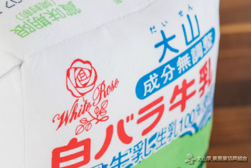 白バラ牛乳ビッグクッション