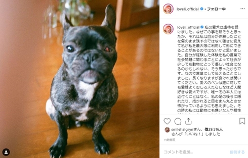 白濱イズミ ラブリ ペン 愛犬 虐待 大切な人