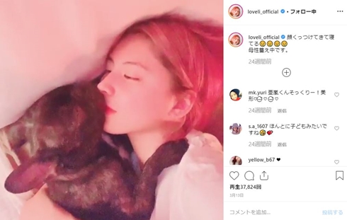 白濱イズミ ラブリ ペン 愛犬 虐待 大切な人