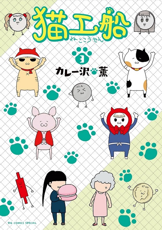 カレー沢薫 猫工船 ポンドぐるいのミケ