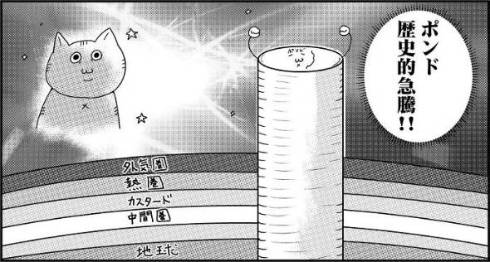 カレー沢薫 猫工船 ポンドぐるいのミケ