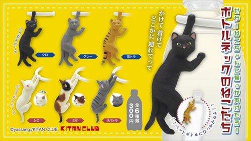 ボトルネックのねこたち