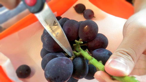 ブドウの保存法