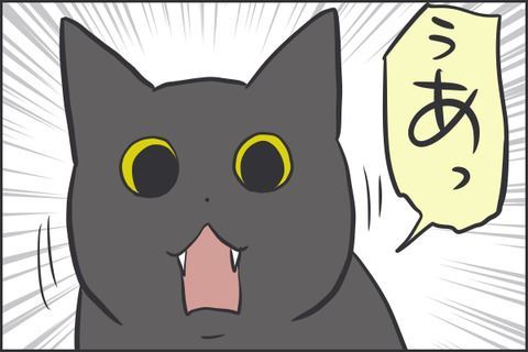 猫マンガ