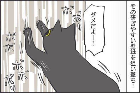 猫マンガ