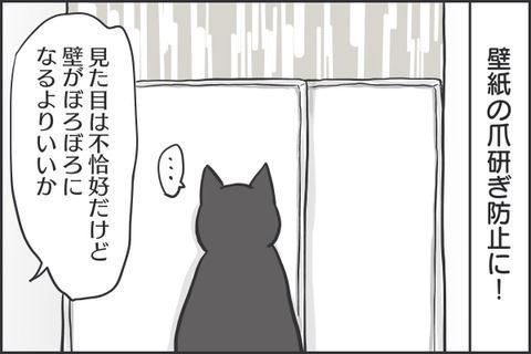 猫マンガ