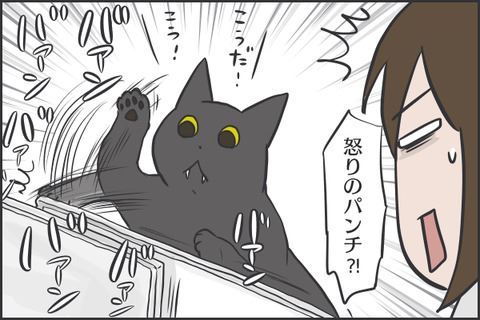 猫マンガ