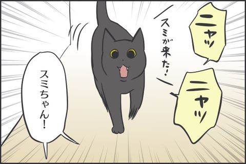 猫マンガ