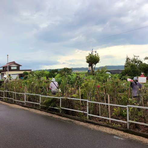 人に見える 全部 かかし ゾッとする 滋賀 東近江市 山上新田 バス停 集落 怖い