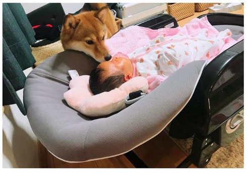 パンサー尾形 妻 娘 ミク 愛犬 さくら