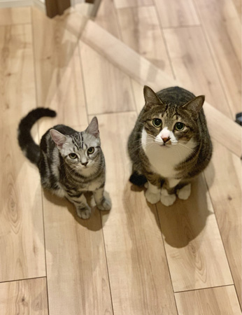 どんちゃんともぐさん